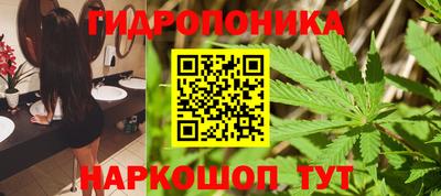 мет Камышлов